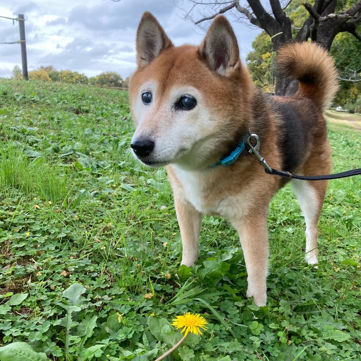 Ba41b314 8210 4489 b120 cac7229147ef 1699241010811