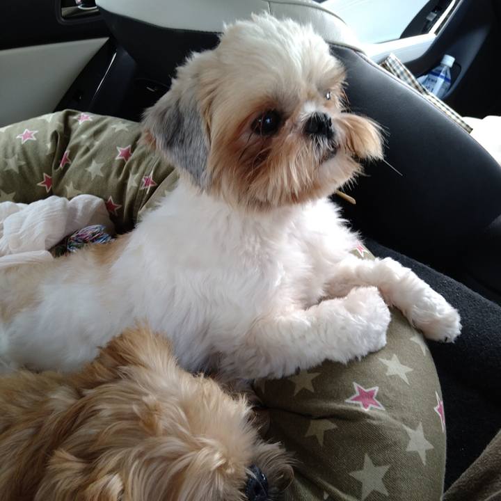 Ba41f0ba c74e 4733 9204 b80a86e089f8 1599282622844