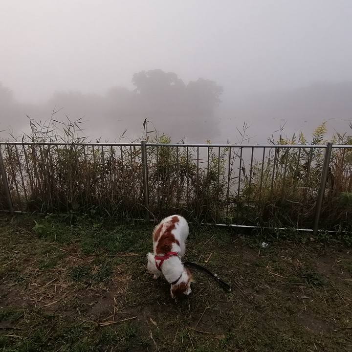 Ba4219ce dde5 4a88 8315 60aad0befb0e 1572435105094