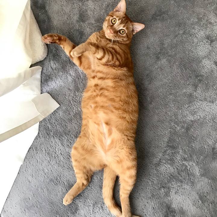 Ba429c8d e270 4171 b624 5a7d1bff0f25 1593837200628