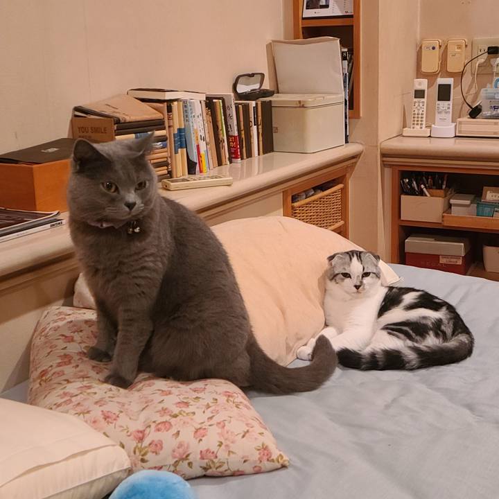 Ba42a658 d19e 4f43 98d3 57ebf3ecde80 1633315051364