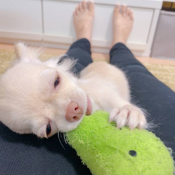 Ba42e9a2 df0b 4757 bc85 477c20a51f60 1592521864027