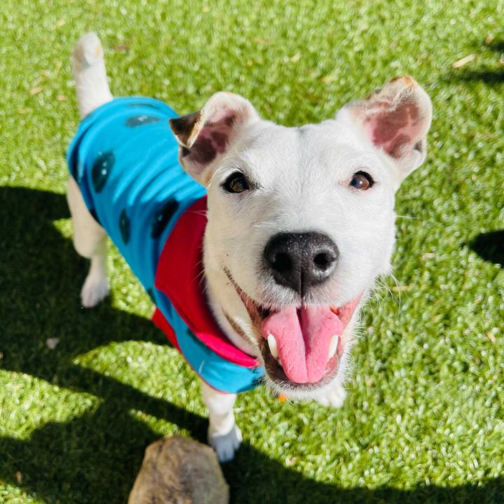 Ba4333f2 740e 4447 9075 bbcea34aa1bc 1614138888941