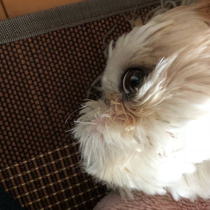 Ba434f49 a0f9 400c a06d 295e1cc535cd 1527802777006