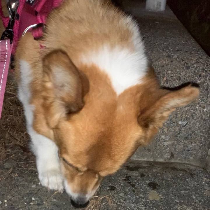 Ba435cb3 646d 4918 b312 1b236baae9c9 1688039456957