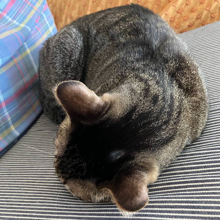 Ba43632e cd8d 4f3e 80c4 04d3ad50bc51 1767961606629