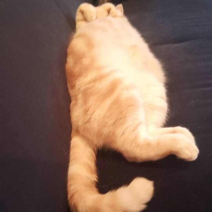 Ba439ca8 81f7 48c8 a8ea 0d05c92d774a 1538122295912