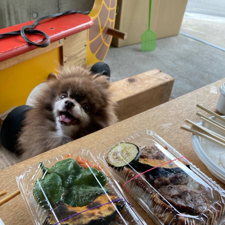 Ba43cfa0 2ac1 4c59 bf40 ce4a5333bb1b 1722941112852