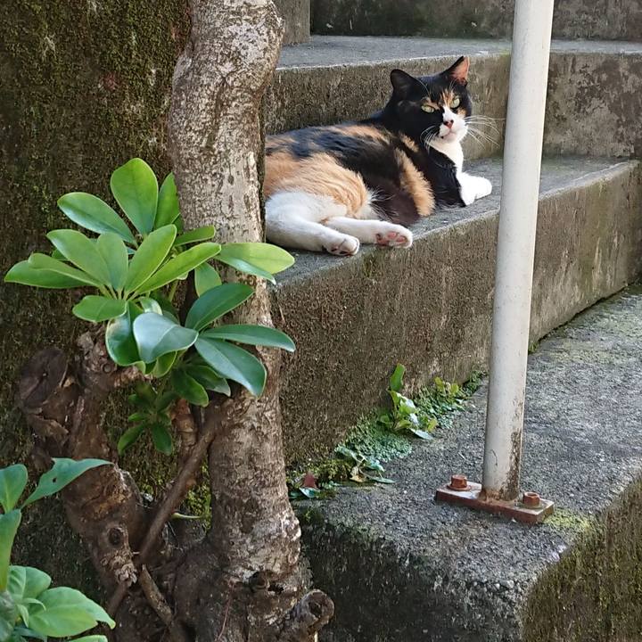 Ba43edeb 4e23 4a9c 873d 86c521cf518c 1627716523286