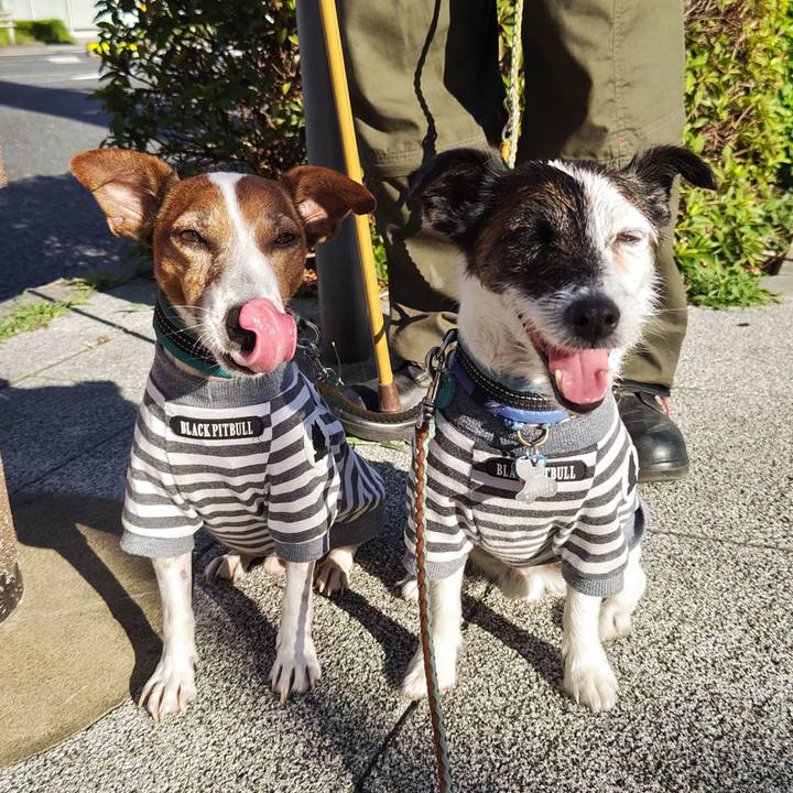 Ba43fc81 aa54 47ed b8de f1991f1bae4e 1722289570946