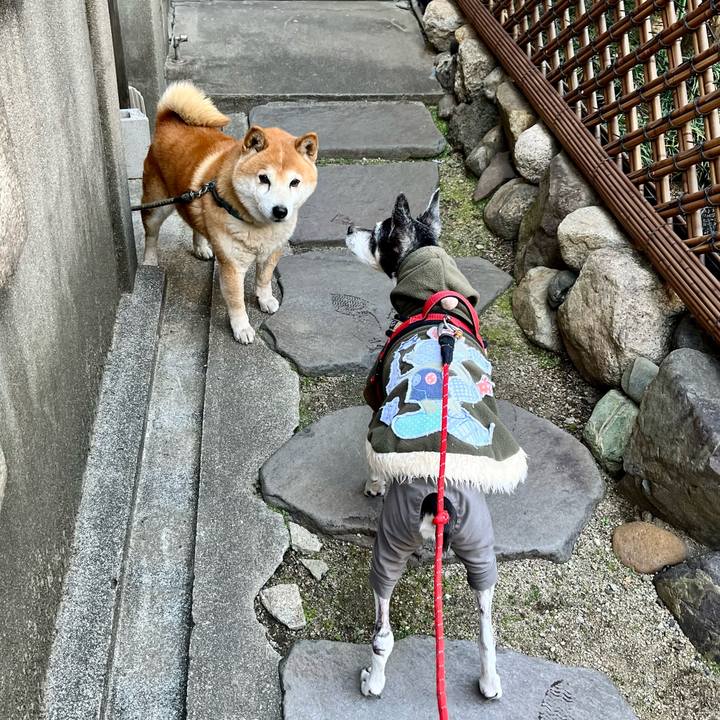 Ba440b9d 2f55 437d a41f aafe260421b3 1646523422868