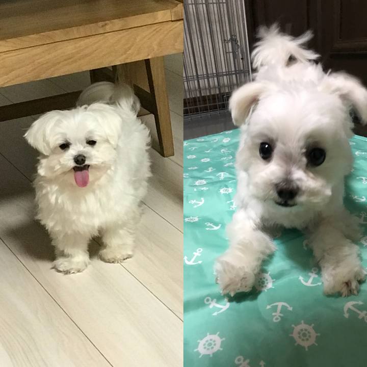 Ba440e83 2c83 4221 833a a58ac9abce3c 1525048765916