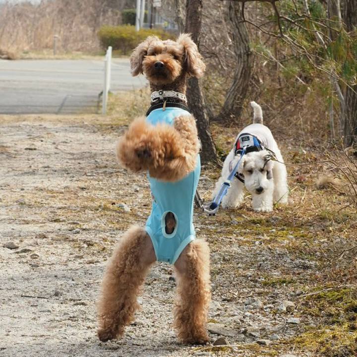 Ba44831c d226 4bf2 b9a6 19222a5ec474 1519541453824