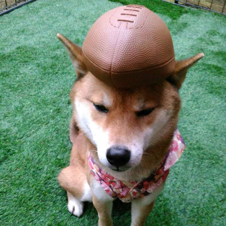 Ba44987d e22d 40bd 8c50 44ea98e89096 1516088303649