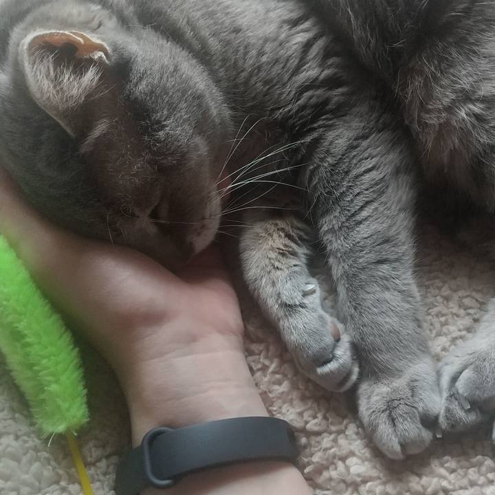 Ba44dd07 20e2 4f8c a36c f9e245fc61f0 1685246986299