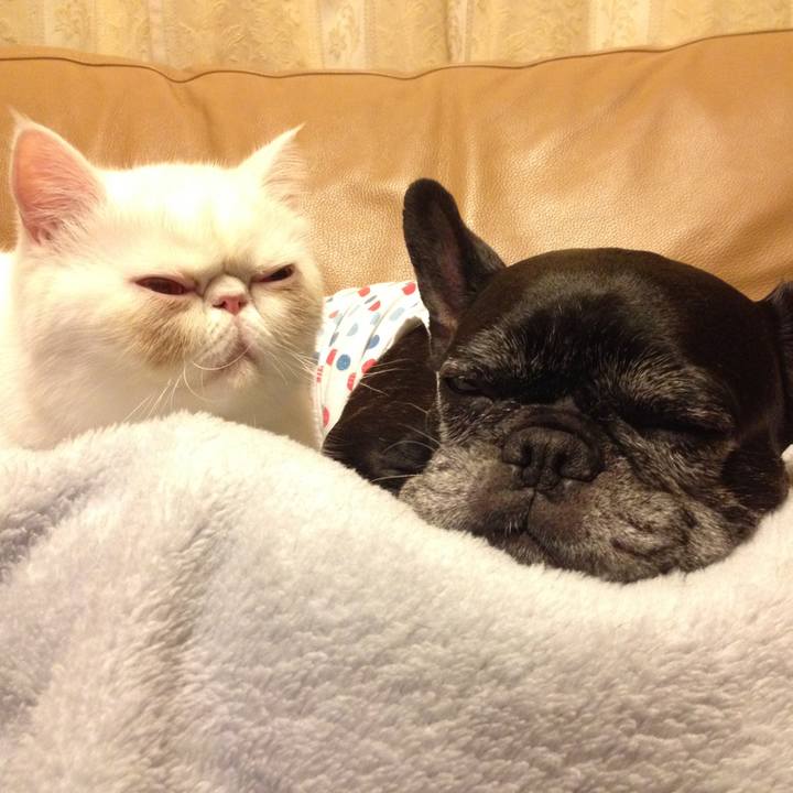 Ba44e075 6181 4b7c b8e7 c045eee9dd37 1522330481638