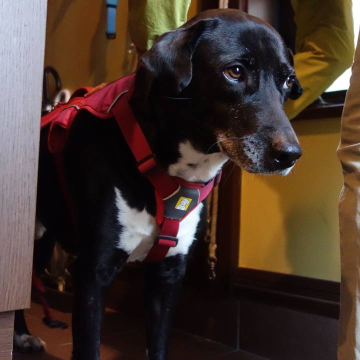 Ba44e481 f673 46ed a8db 021b015402c1 1680570286872