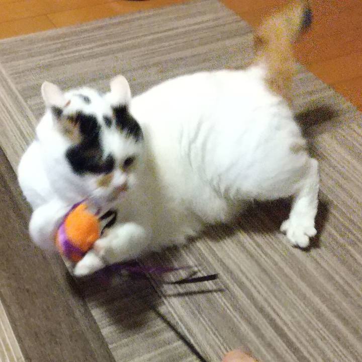 Ba44eaaf 2265 406a aa04 ed7a34dee186 1631184519262