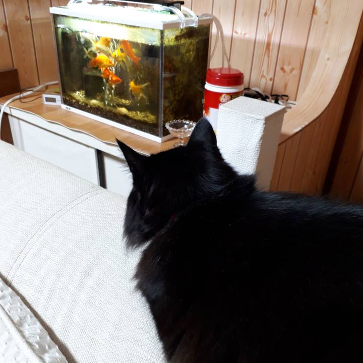 Ba4506fb bc3b 43ba 8ff6 fc9eee5ffbbf 1517948893538