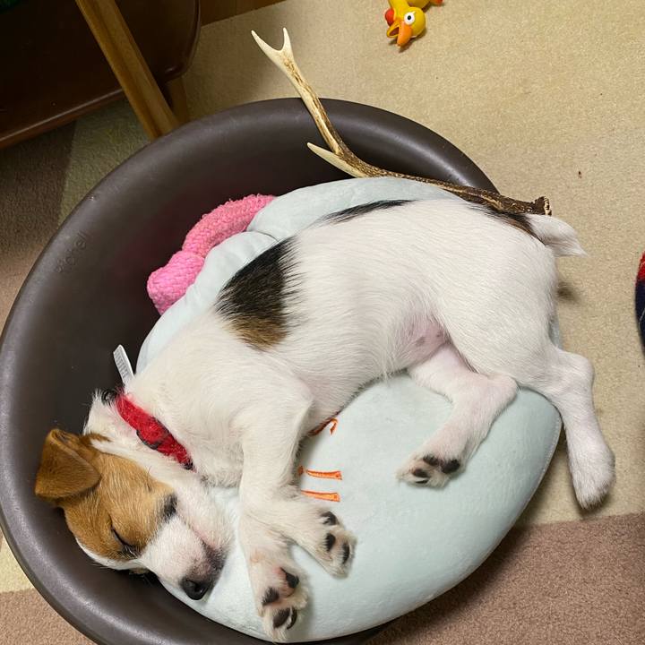 Ba452970 c2f7 4008 90e4 30ffe4c54b2b 1615099737008