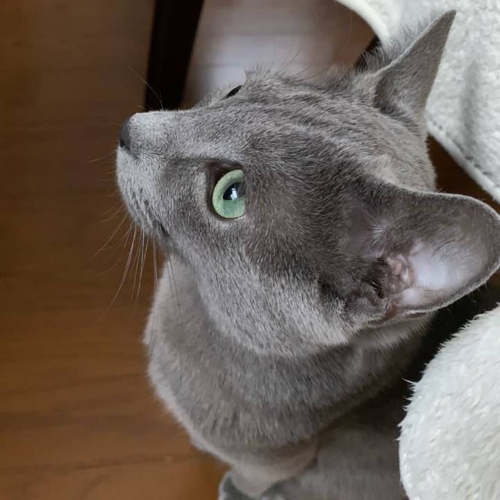 Ba45563b 4704 4dc5 9d53 6381533c0cd3 1607647981689