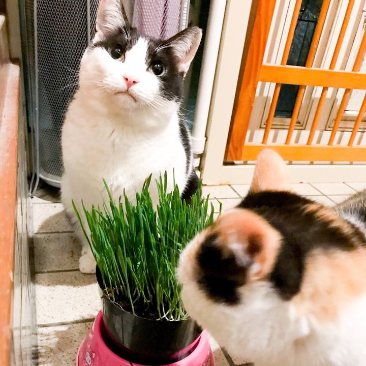 Ba45ad48 065b 4082 ae15 07492899087c 1522159798496