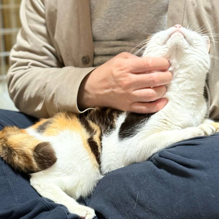 Ba45dd92 3a12 46e5 8f9b 1aac7bcb87c9 1736472289116