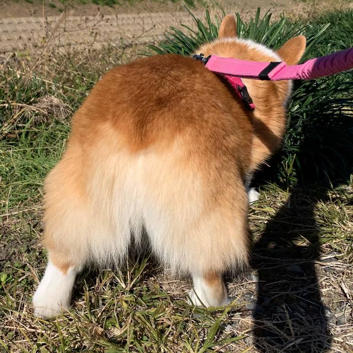 Ba45e56d 271f 423e 9127 3100035a87af 1700622394871