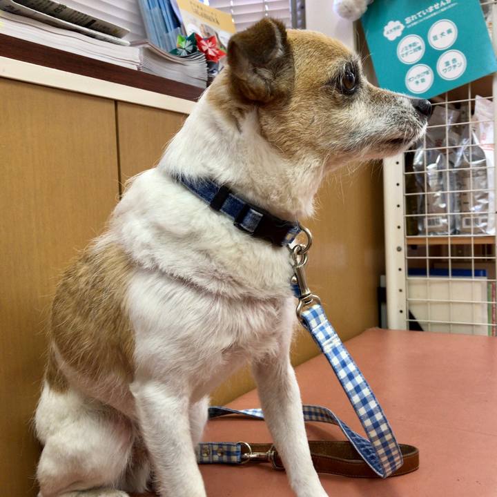 Ba461489 744e 4478 8e68 dbf4e6eaef14 1618194318199