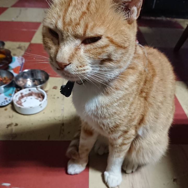 Ba465e7f bc14 4d52 941d 8bc18ea61cf9 1563133518047