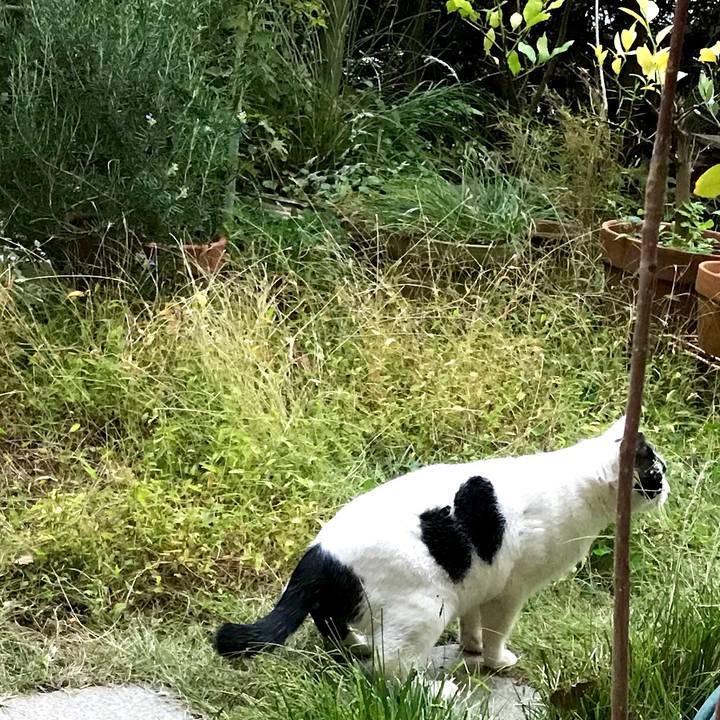 Ba469673 9c4f 4f71 9a8d 60d4c486933f 1573878722757