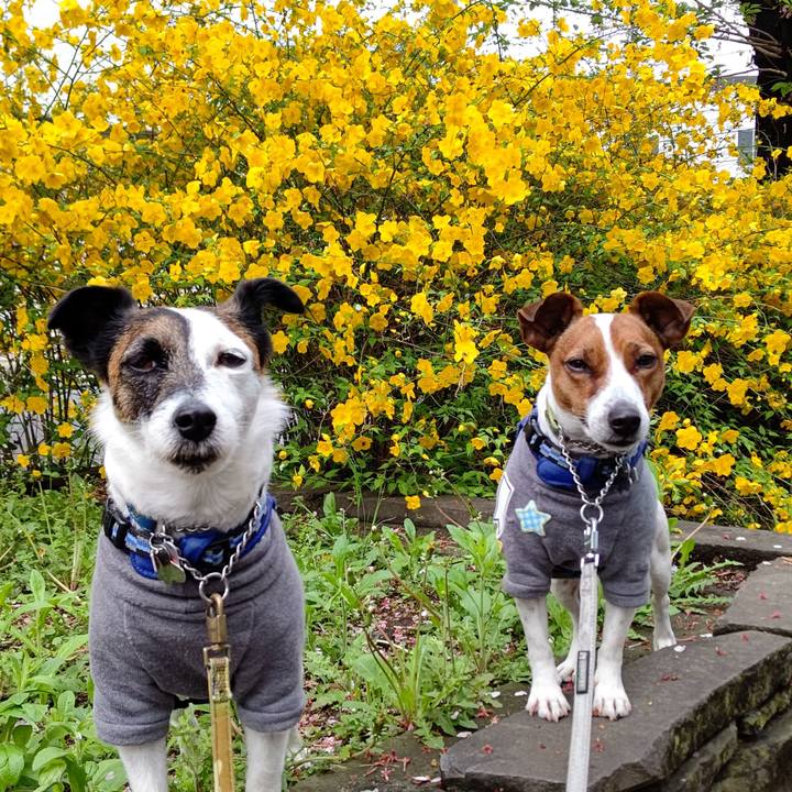 Ba46995a 5b36 4a28 b4cb b5515b8541ab 1617575600974