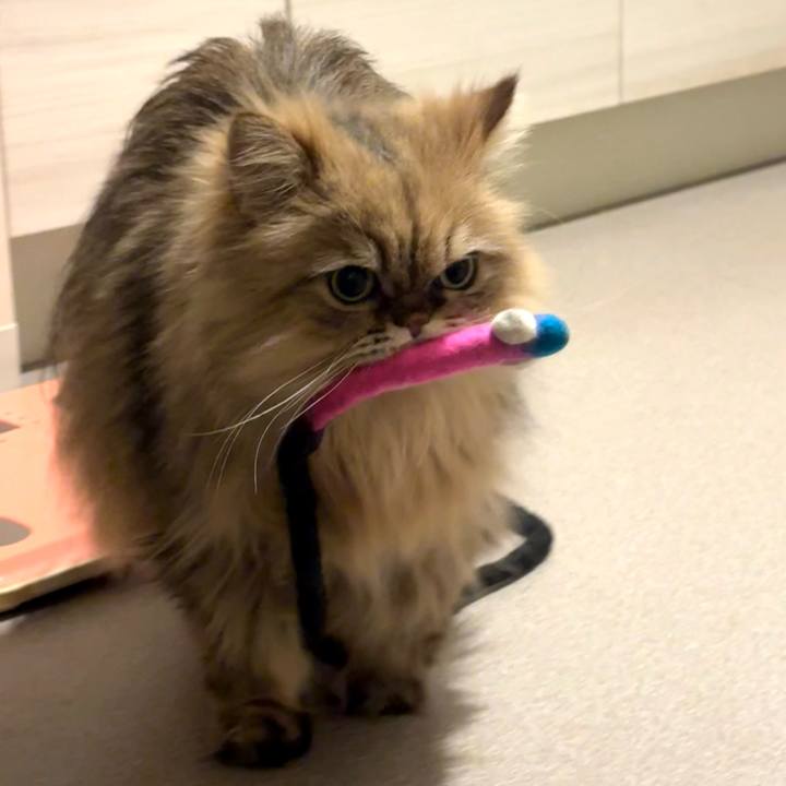 Ba46b04f c099 4aad 8f80 d4ac88f5c7ad 1763646986968