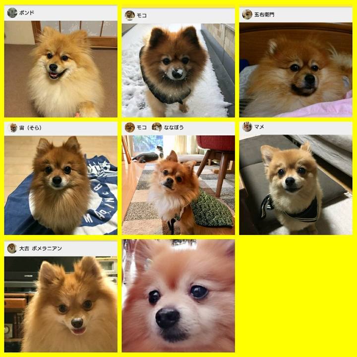 Ba46bed4 60fe 47e1 a062 6753fd1cbb34 1521813644106