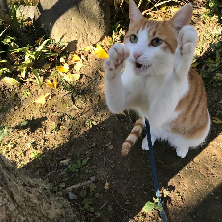 Ba46c560 f511 4725 8d74 1f29d50dc503 1510276780705