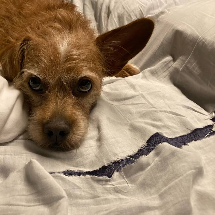 Ba46cea2 754c 4951 b838 923a6e4ca315 1632227744691