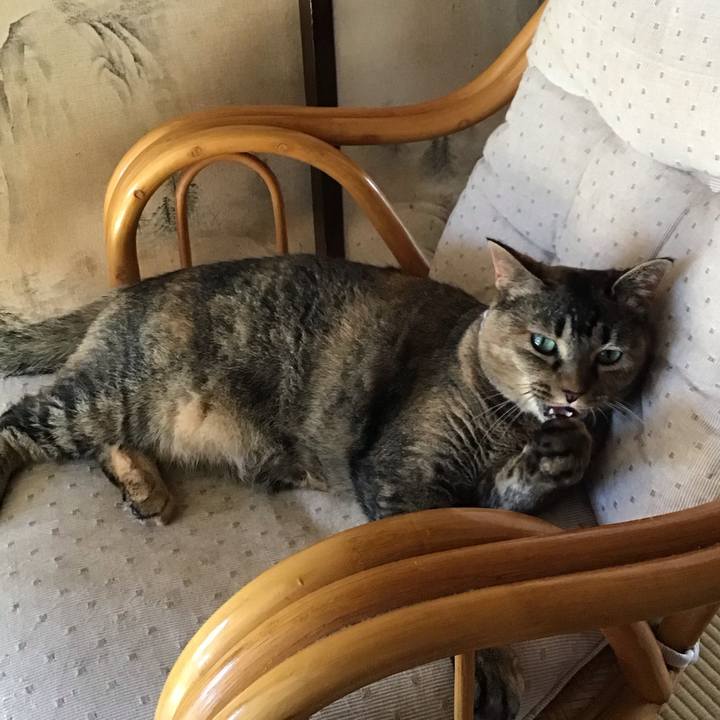 Ba471542 8cba 4641 a267 2cea11470ffc 1753780938737