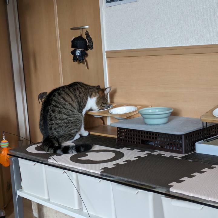 Ba472309 dff6 44b8 9a26 7bf435f8ec2f 1695174063159