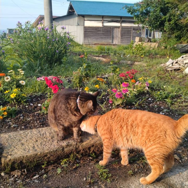 Ba47545c cfd6 4b16 a6b7 2995659027b8 1686348041708