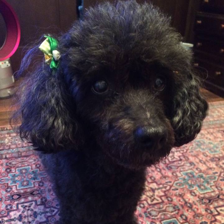 Ba4760a9 7a95 427e 9b70 19bce4bc3bc1 1562927413482