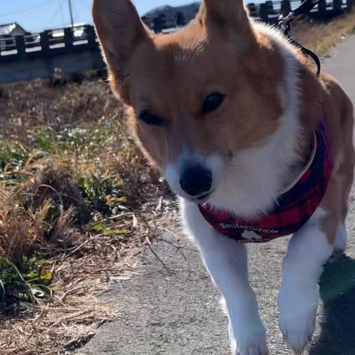 Ba479f42 6857 41d4 a3e9 e1b701273e02 1641026429830