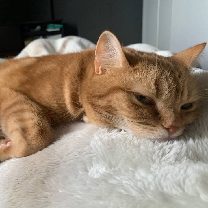 Ba47c14d b3b6 4962 80e6 1df65b511c02 1677111420832