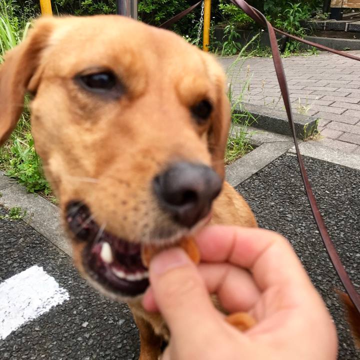 Ba47c412 ebb7 4b13 813b 69e54c832334 1526520724115