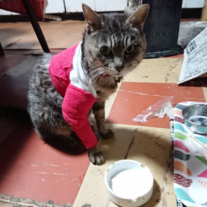 Ba47c673 2790 4881 96ef 14416cad0392 1586725917608