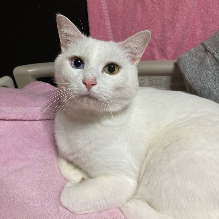 Ba480c30 f3a8 4ecd 9af1 d7f7ac4d89a4 1762673885808