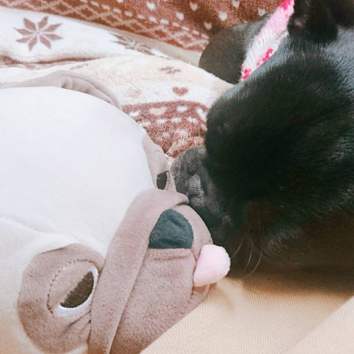 Ba4881b3 6ea1 4c9e aca3 3dcc5e2fedb8 1518012812359