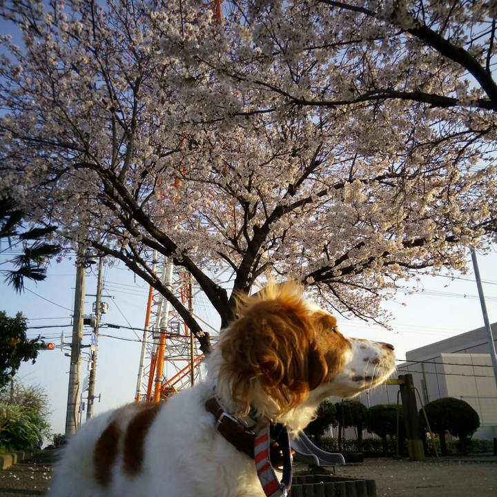 Ba488fb5 54c0 4d71 99e2 73b0240a64e6 1522282189631