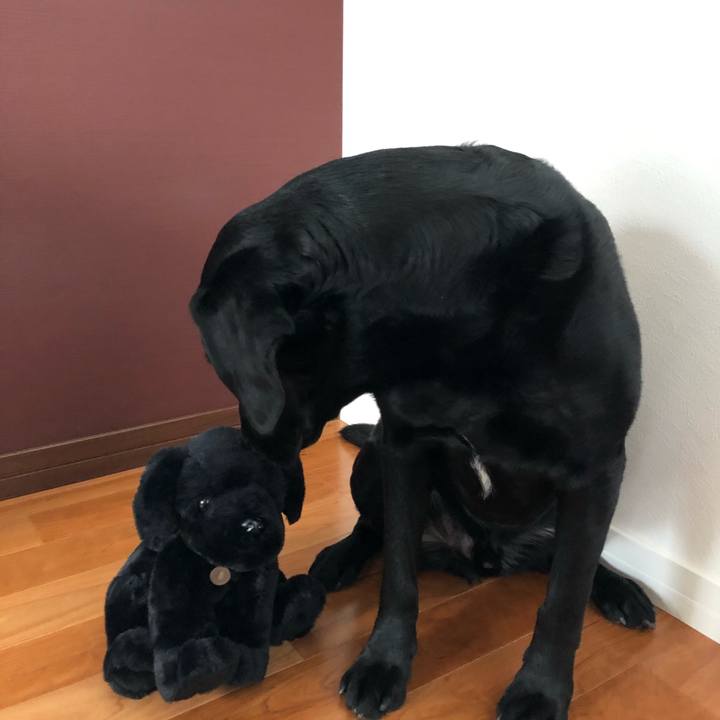 Ba4894a6 4739 4cb8 b238 1cb53c027be1 1583199760648