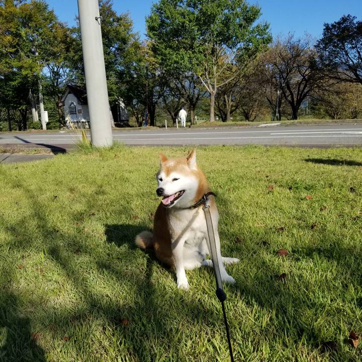 Ba4899cb 2468 49bb 9d95 f0cc0ffb56ad 1664431752692