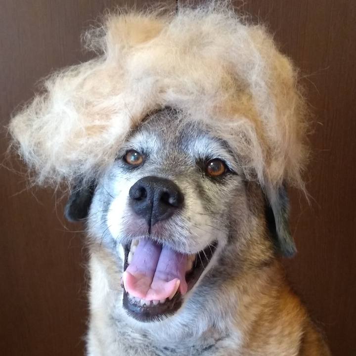 Ba48b295 07c6 4094 8141 08371fc83a67 1566344630939